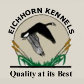 Eichhorn Kennels, "We have been getting several calls a day..."