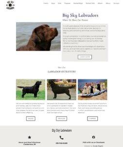 Big Sky Labradors website